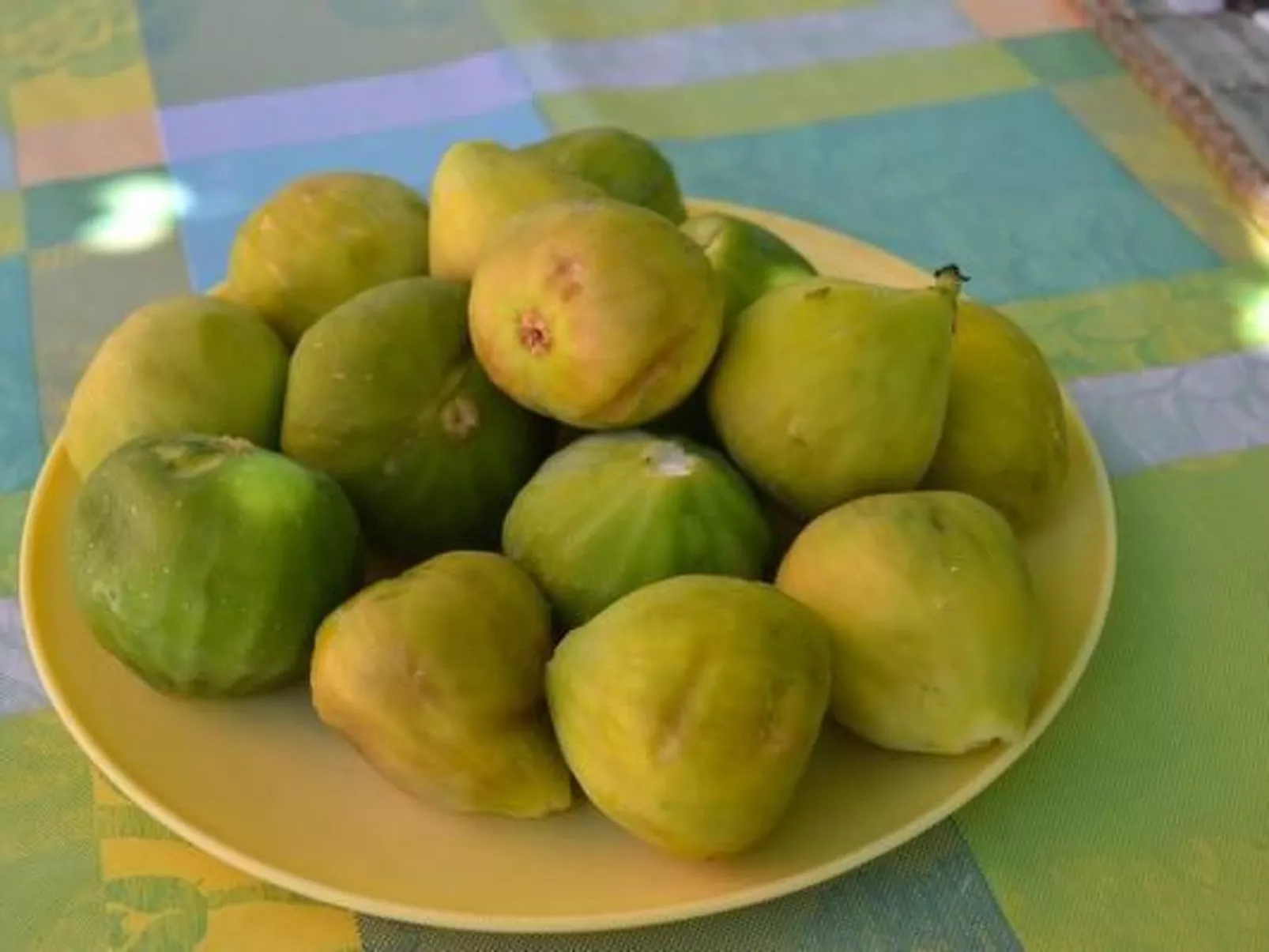 In Pula mit Grill, Terrasse und Garten-Dedans