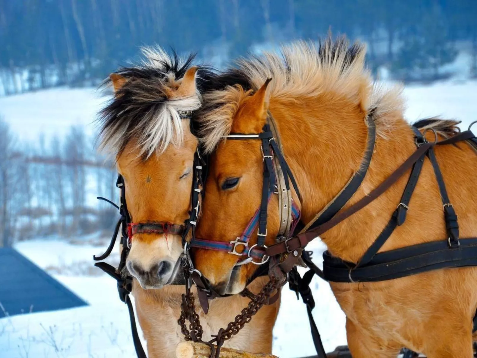 Mit Wasserblick-Draußen