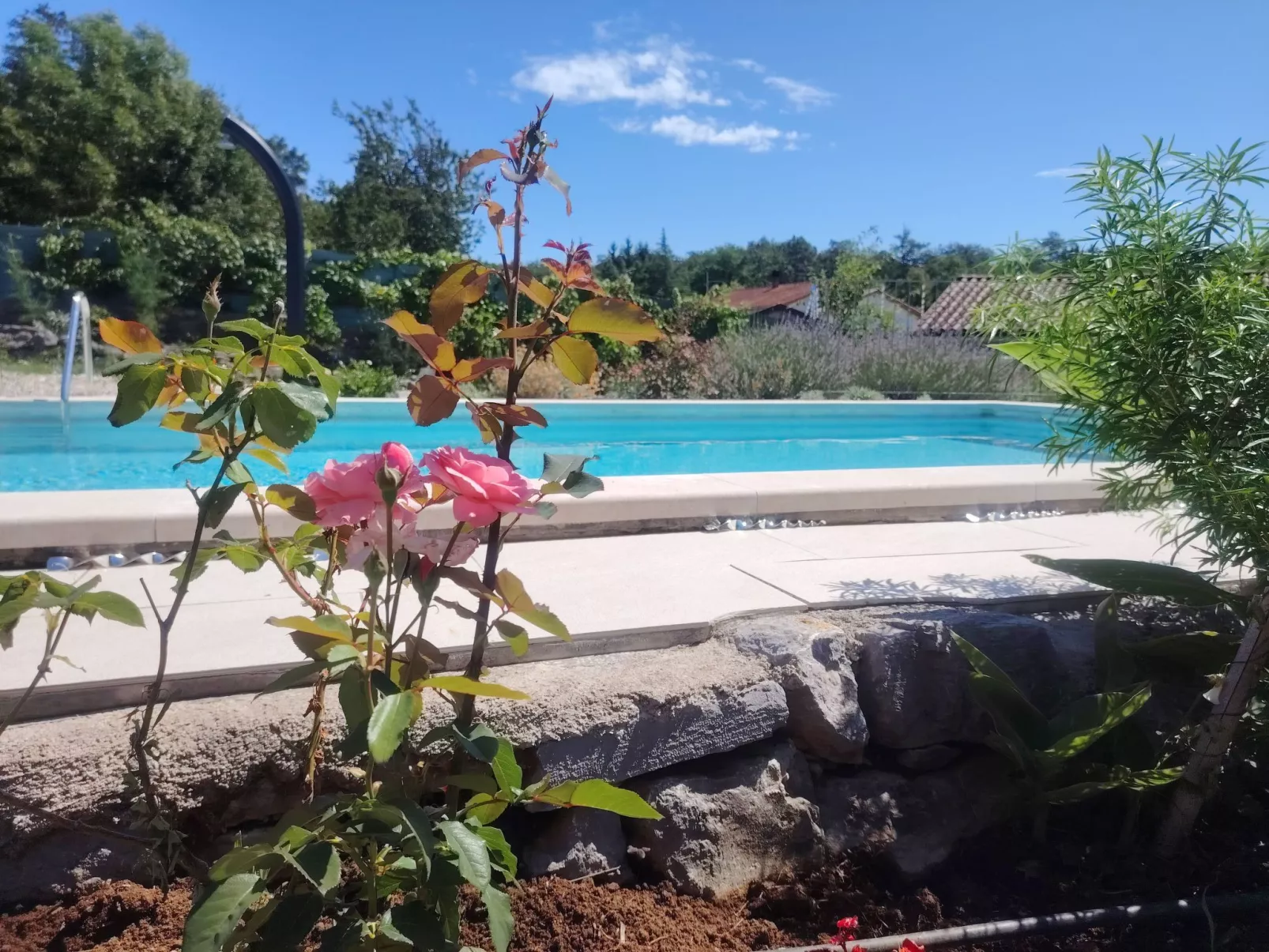 Villa Salvia-Outside