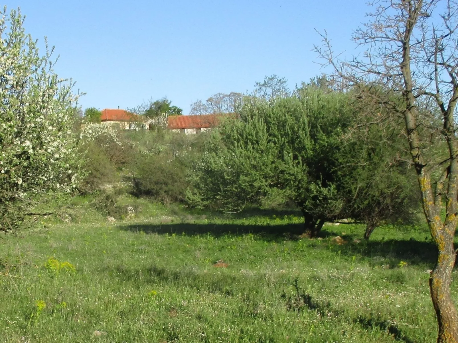 1249147 (copy)-Draußen