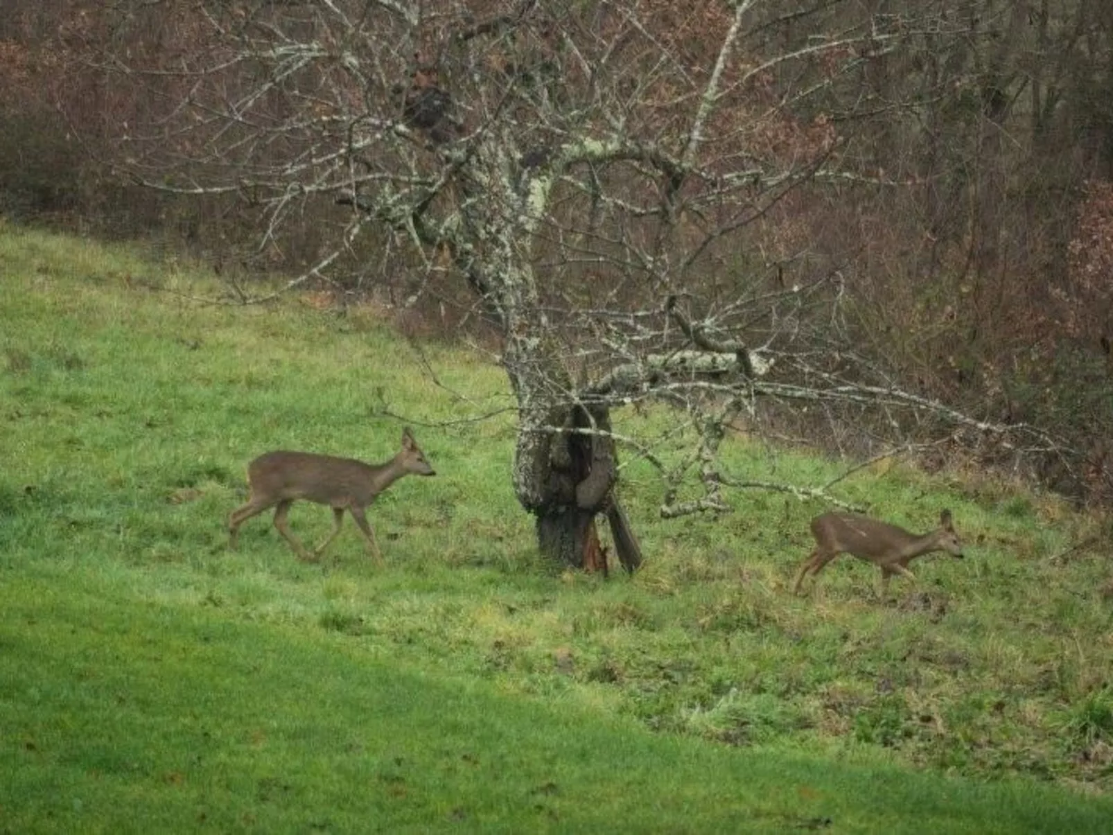 Luxuriöses Landhaus mit Pool-Outside
