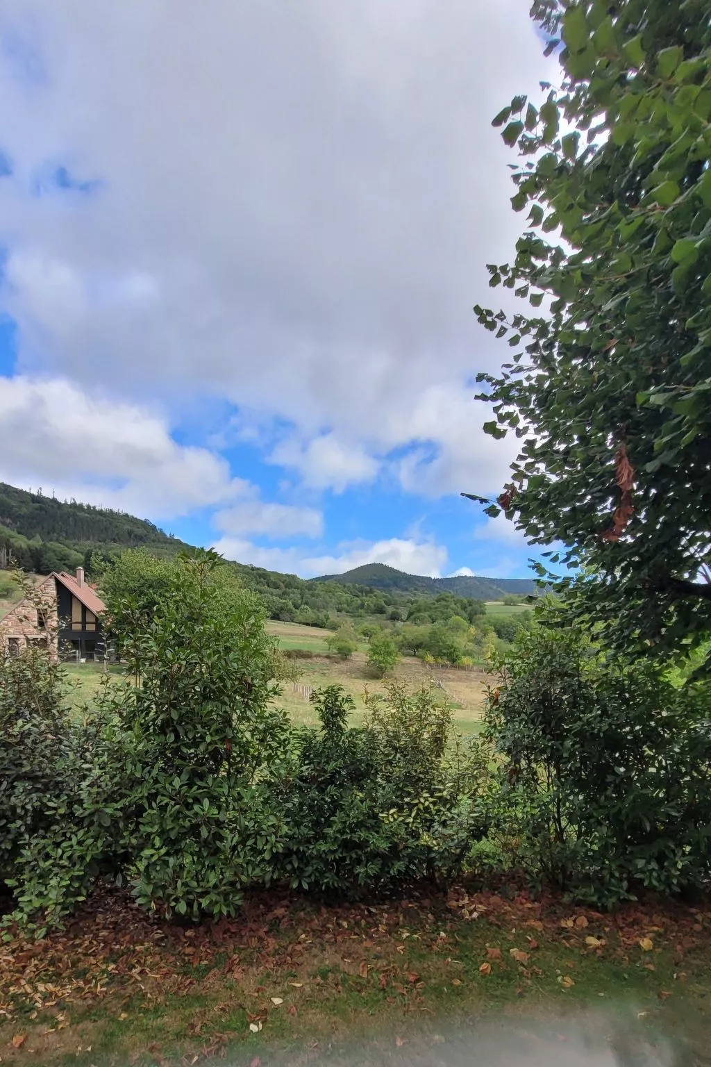 Haus Vosges in Breitenbach-Outside