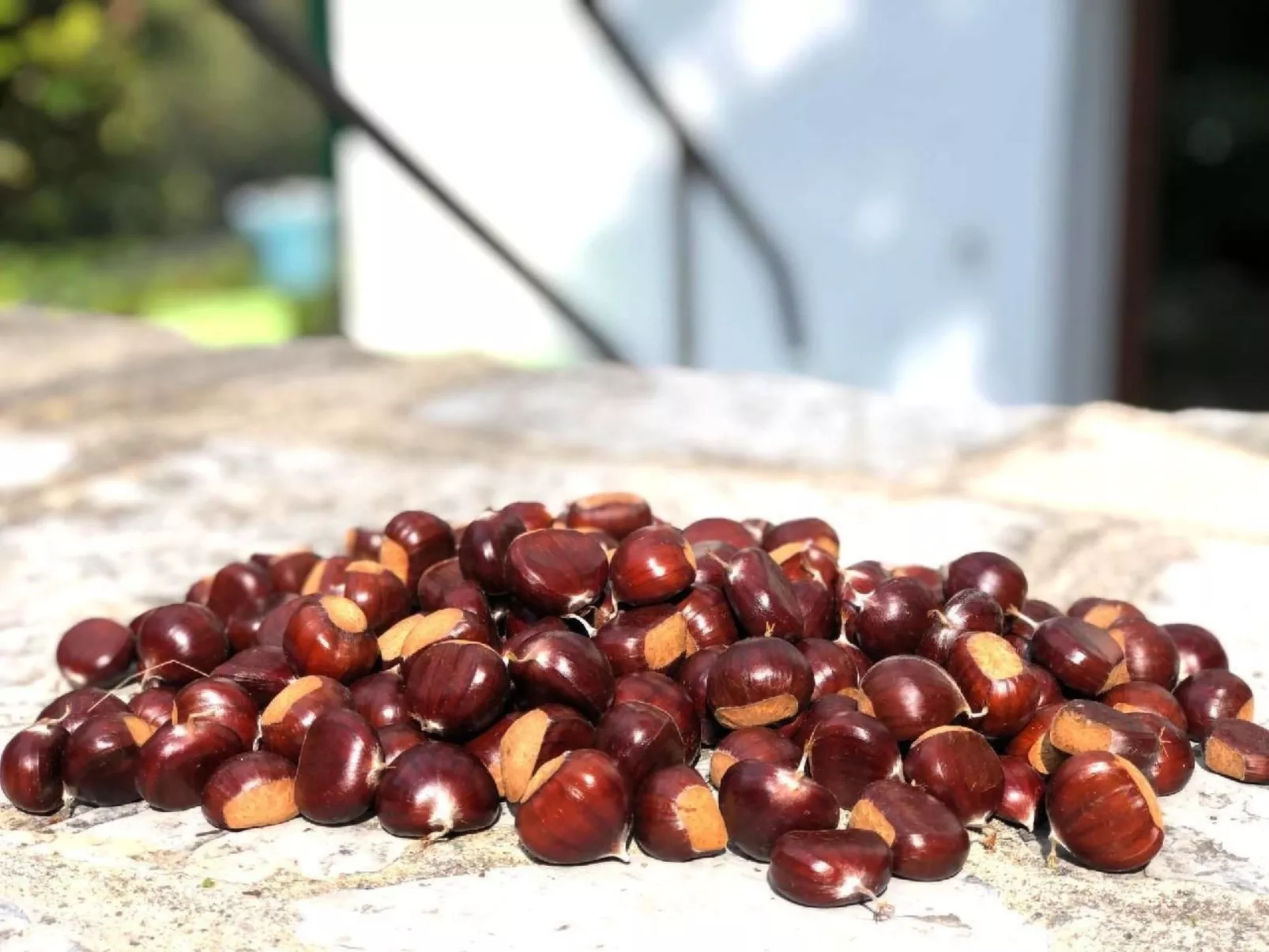 Mit Bergblick-Draußen