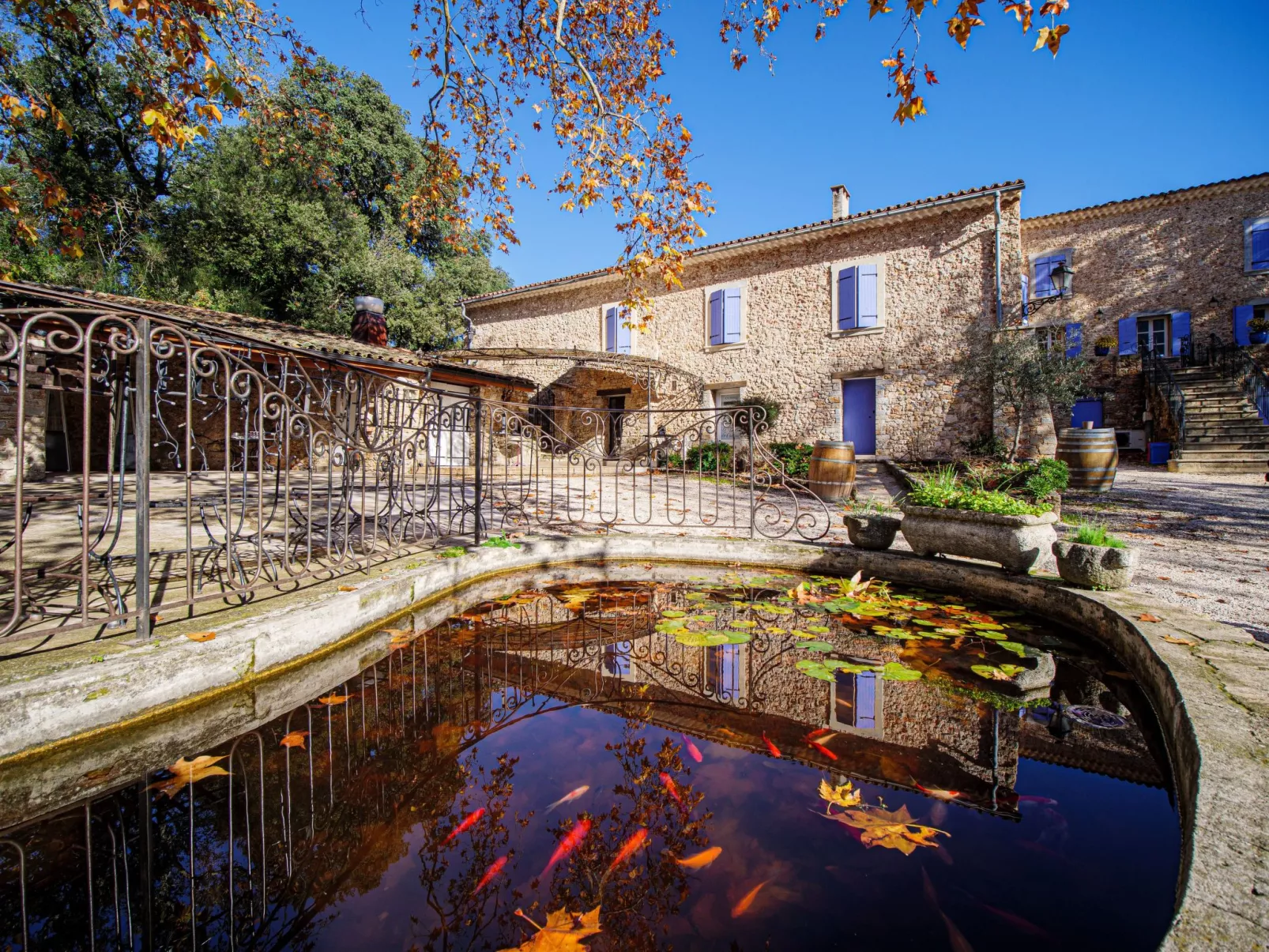 Gemütliches Studio inmitten von Weinbergen und Olivenbäumen-Draußen