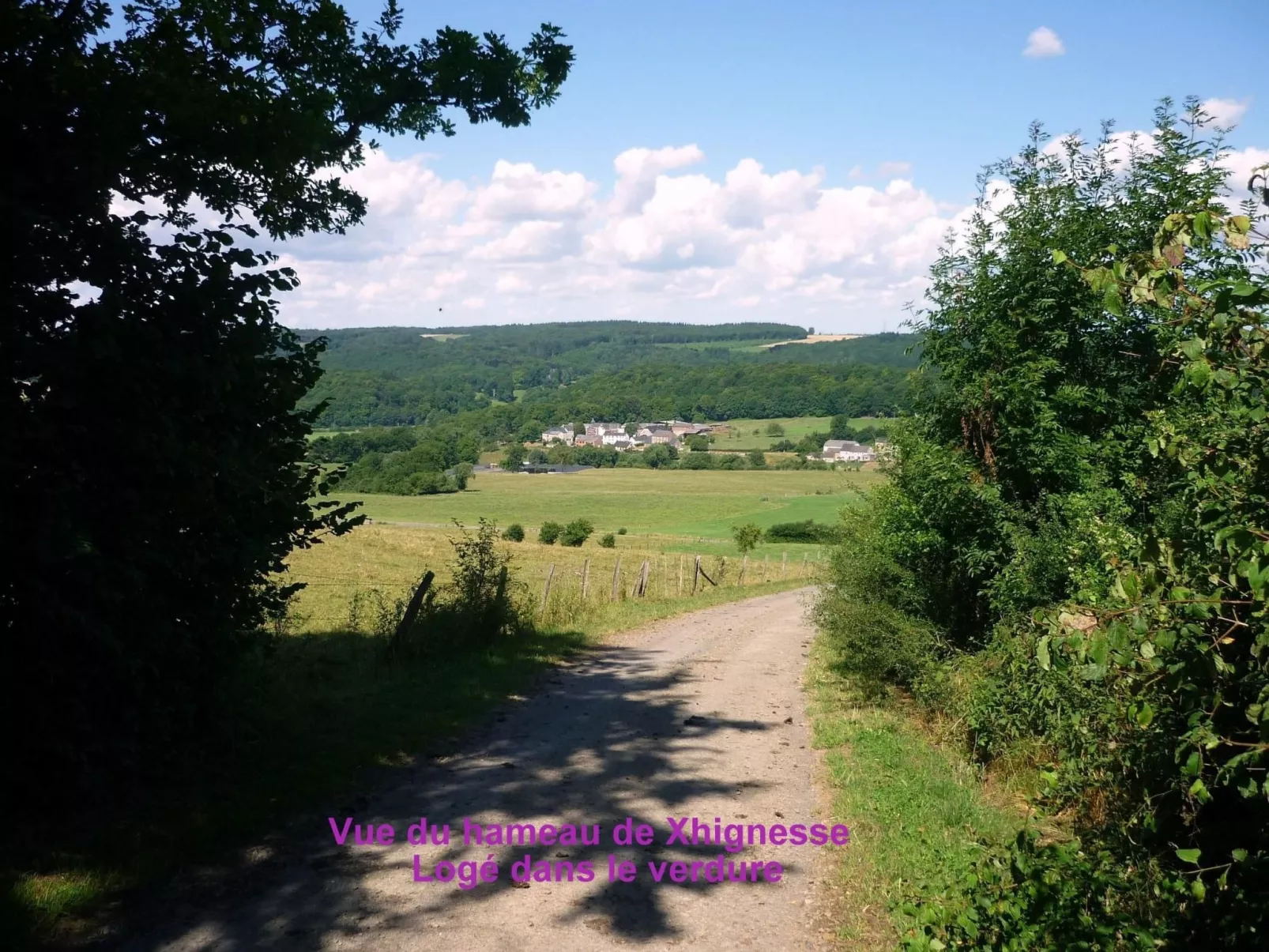 Ardennen Ferienhaus 5 Zimmer 5 Bad 14 Pers Zugang Chaisards-Draußen