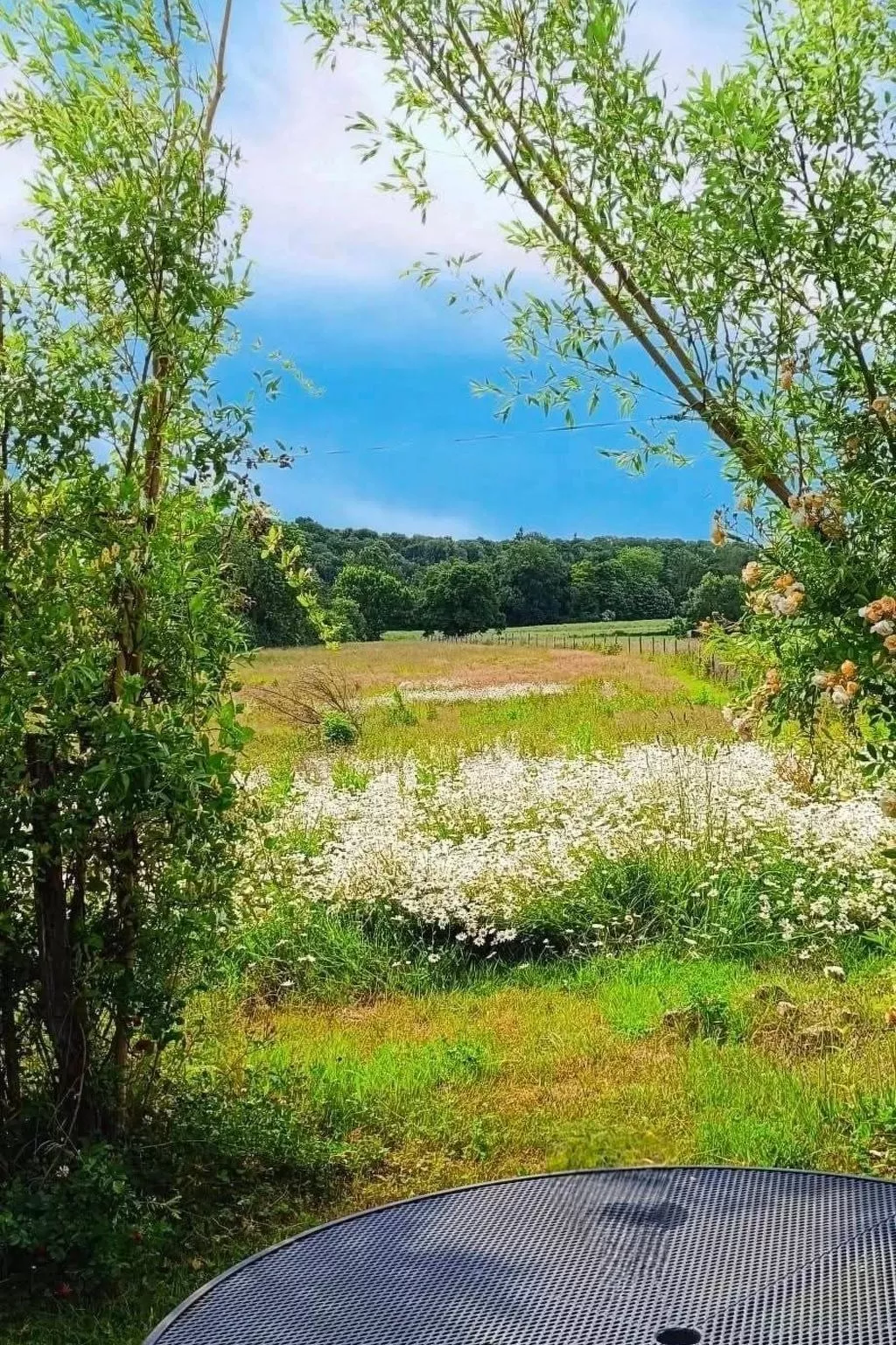 Tiny House Sundancer-Outside