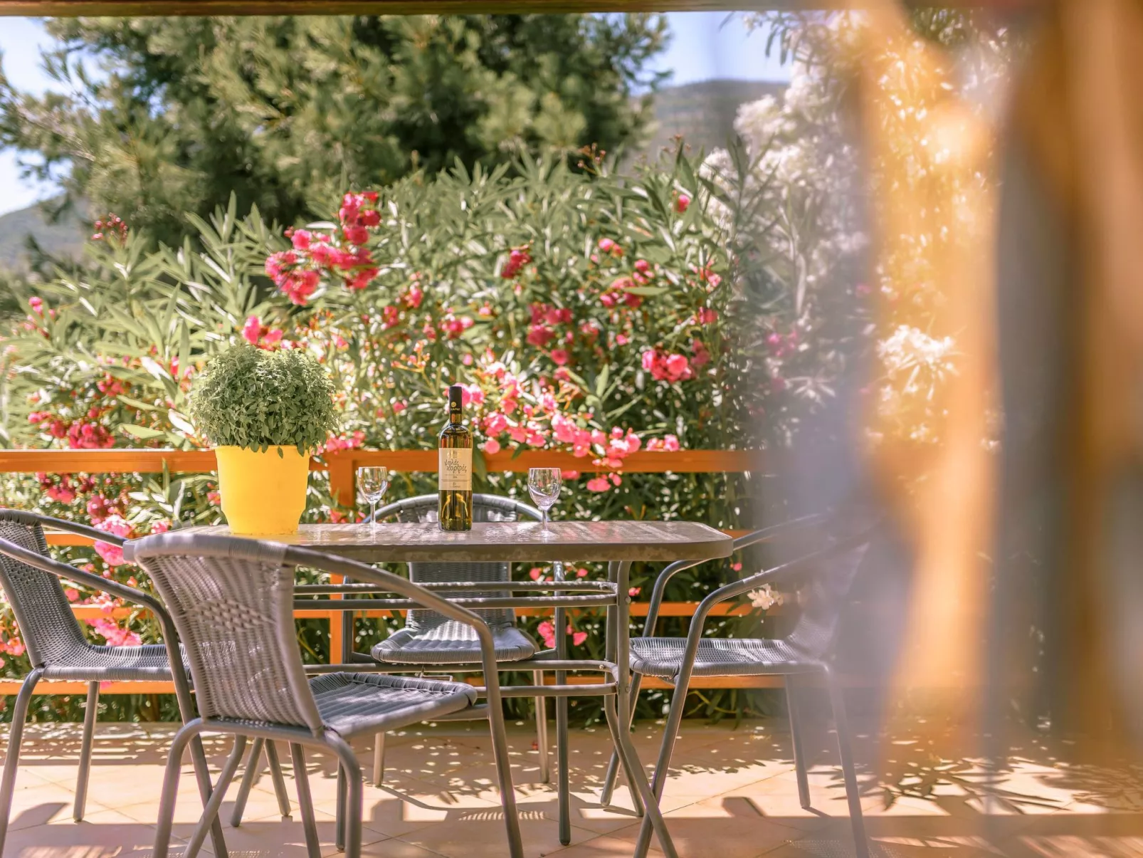 "Yellow Villa"-Outside