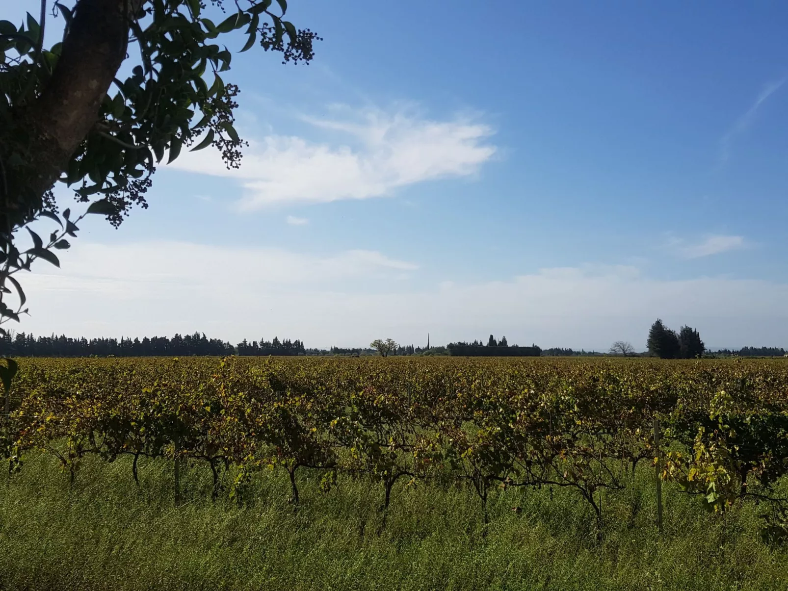 Charmantes Bauernhaus in der Provence-Outside
