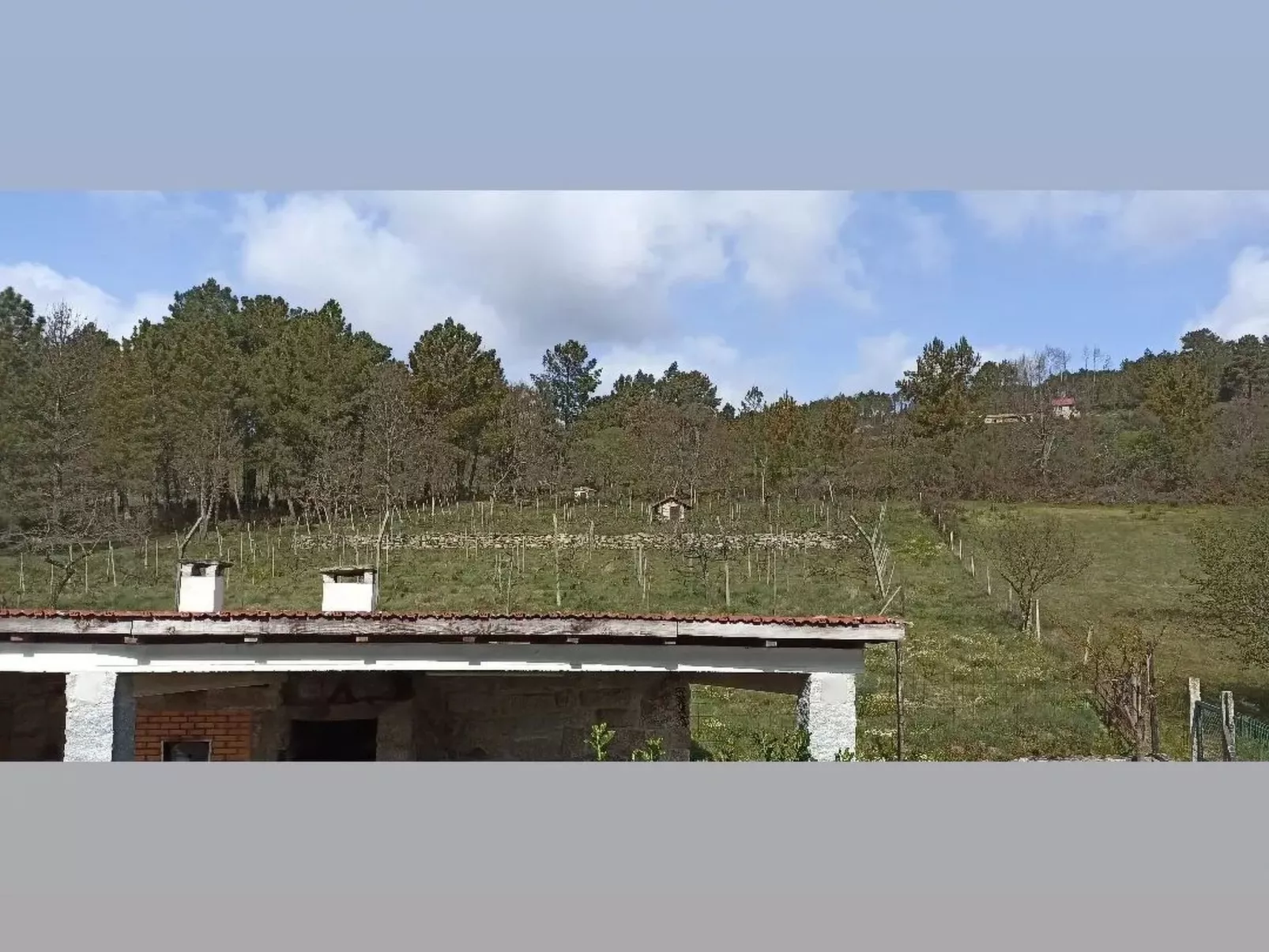 Ferien auf dem Bauernhof mit Weinberg-Outside