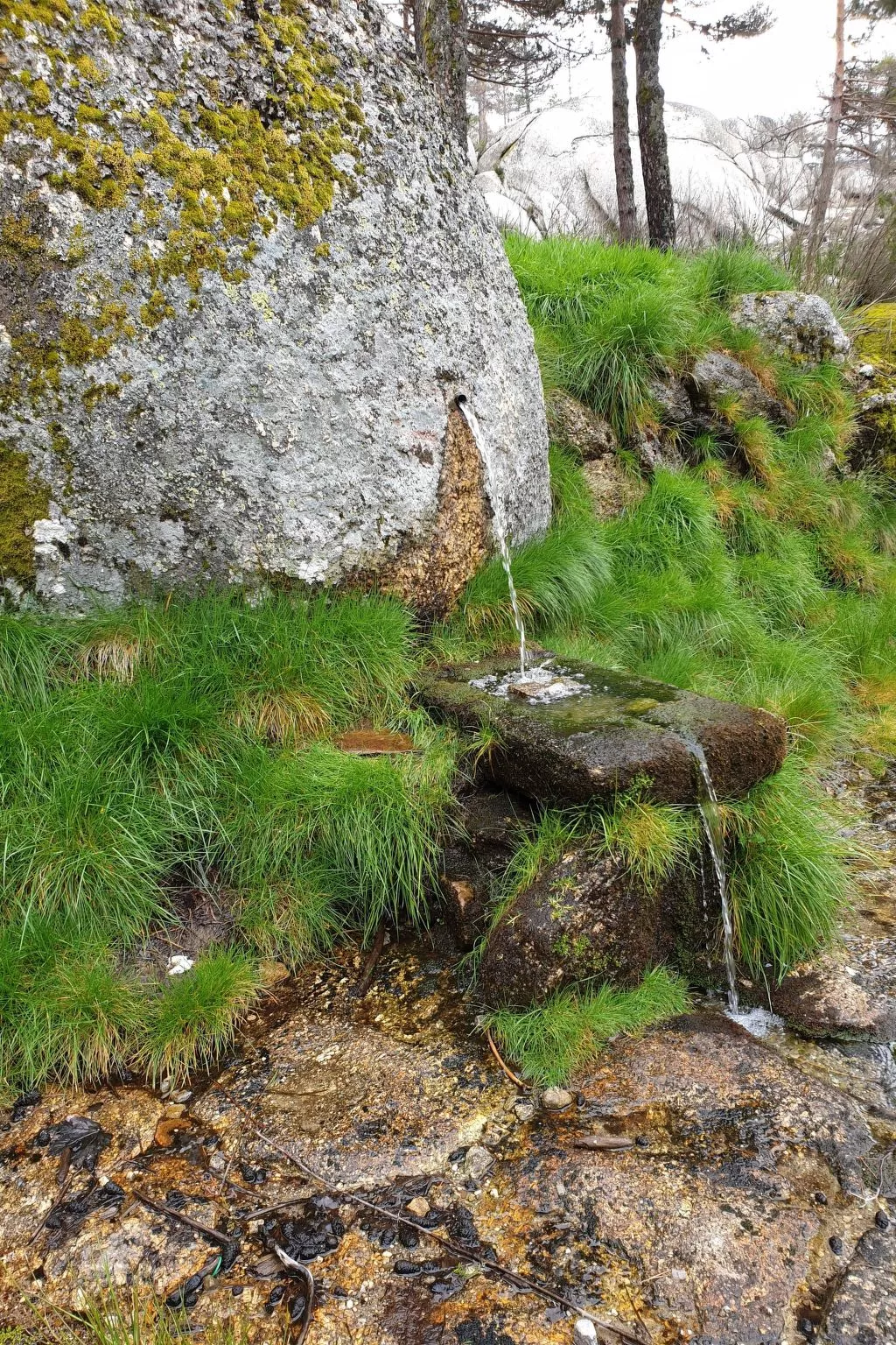 Ferienvilla "Casa Oriana" mit privatem Pool-Dehors