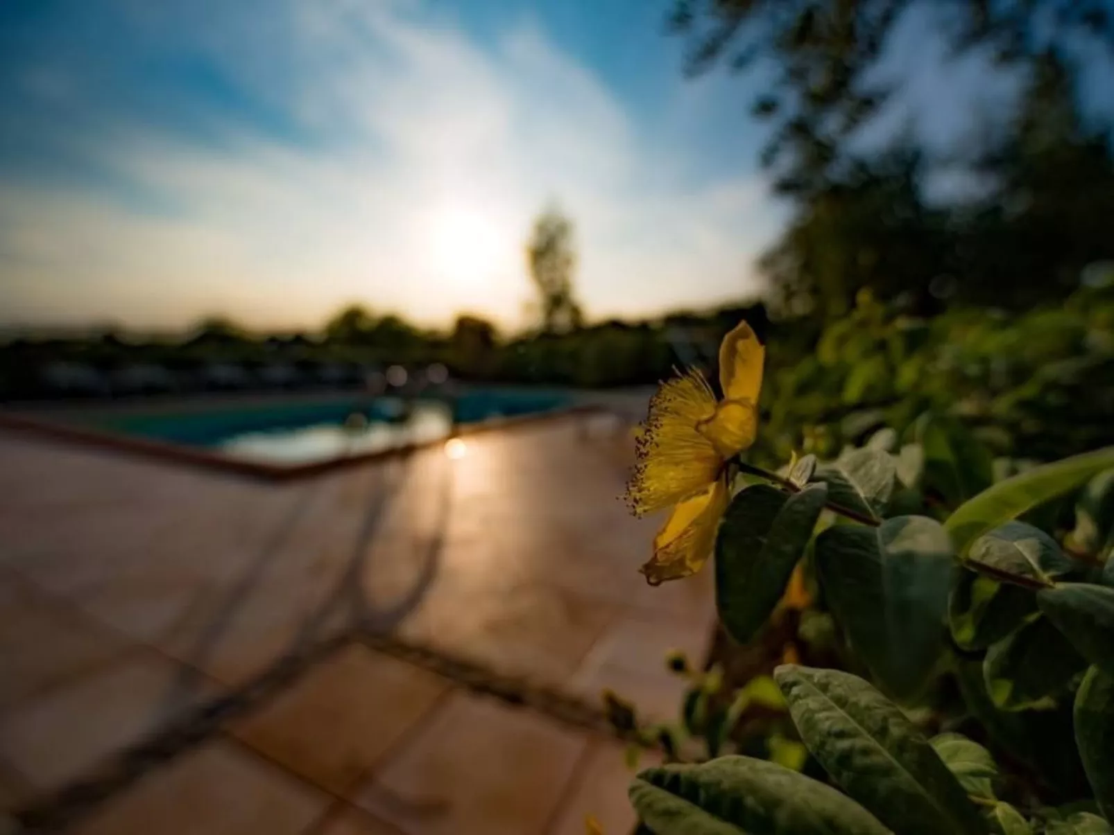 Villa mit Pool für 29 Personen ca. 800 m2-Dehors