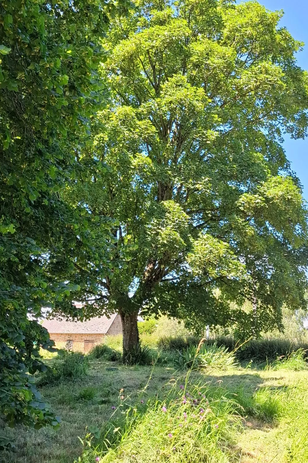 Le Bois aux Ecureuils (Eichhörnchenwald)-Outside