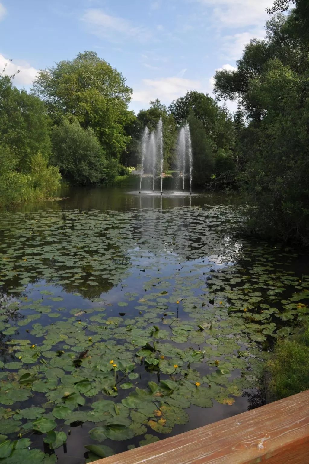 Rosalie - Ruhig - Zentral - Hochwertig-Outside