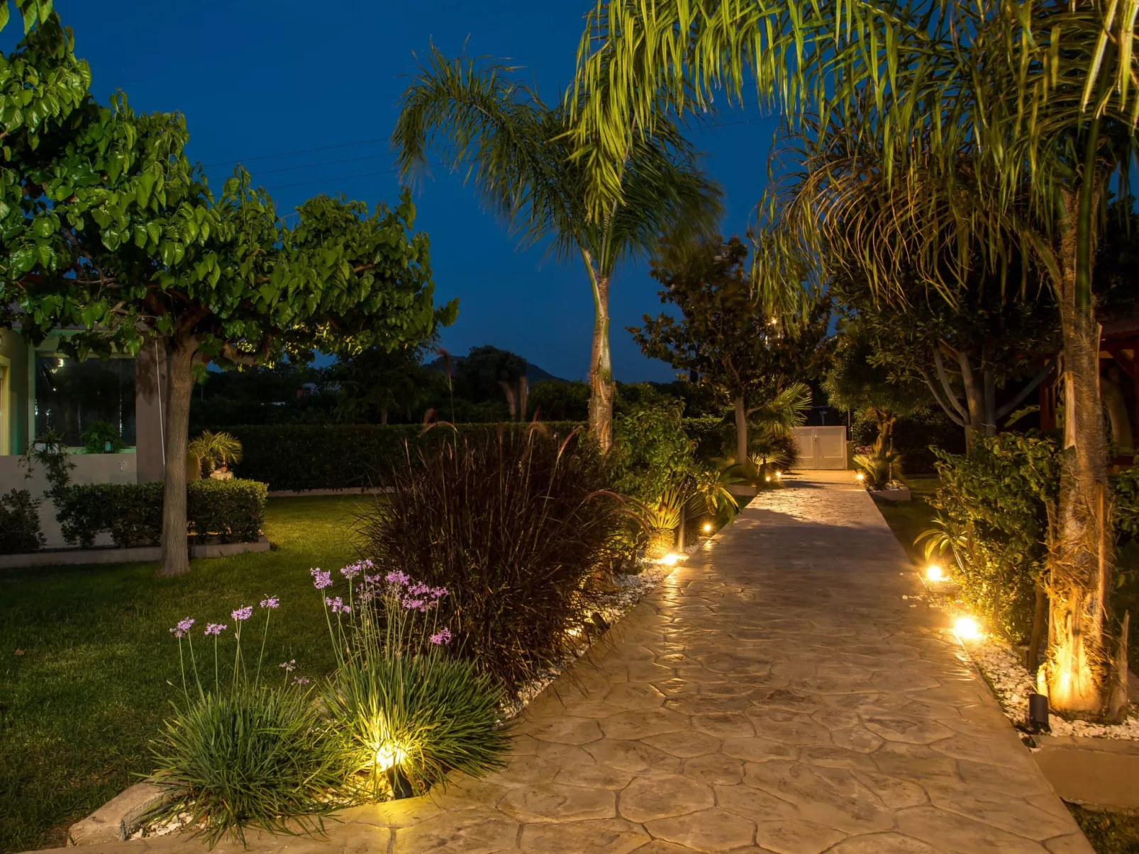 Meeresbrise und Natur-Draußen