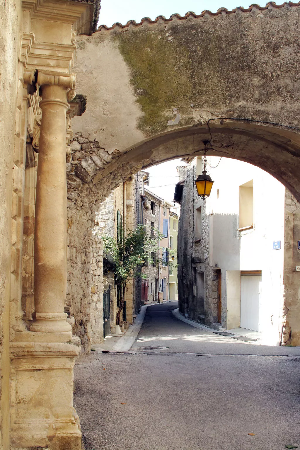 Mit Panoramablick auf den Mont Ventoux-Area