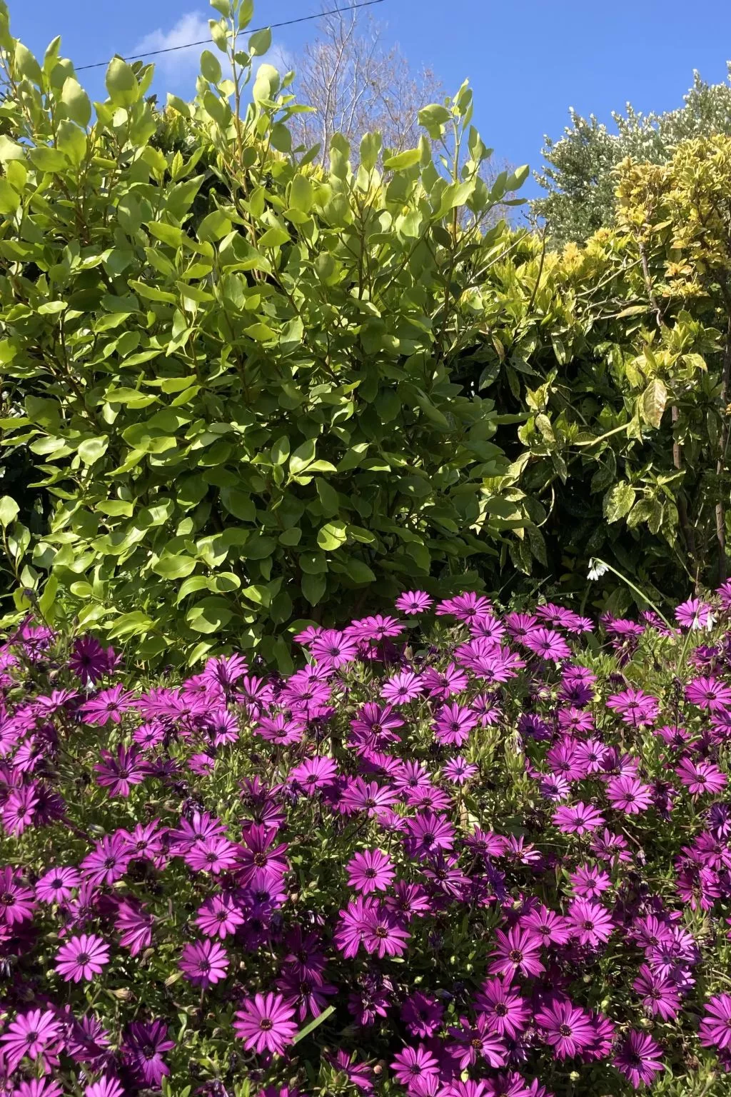 Villa DUXCAAR-Outside