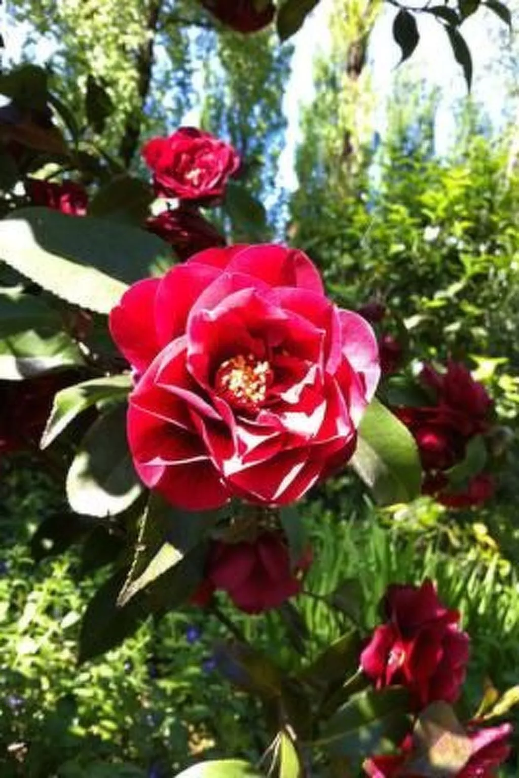 Fewo mit Bergblick-Draußen