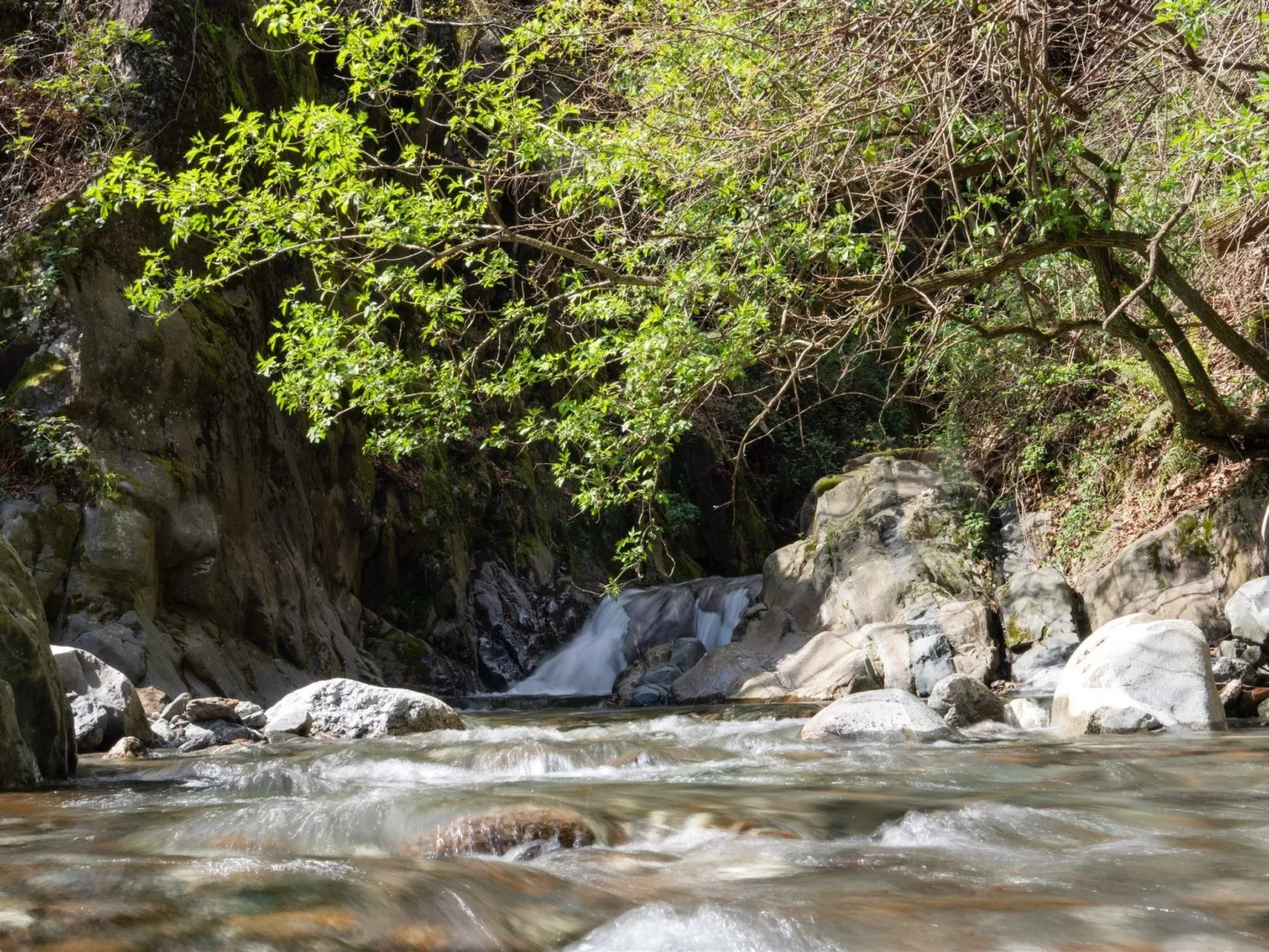 "Palazzo Branca" mit Blick auf den See.-Image-tags.info