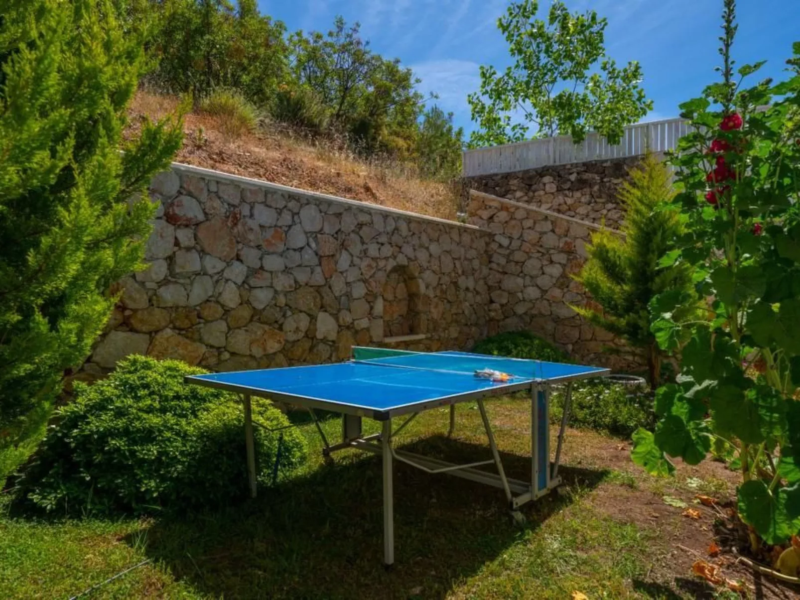 Stel-Image-tags.info