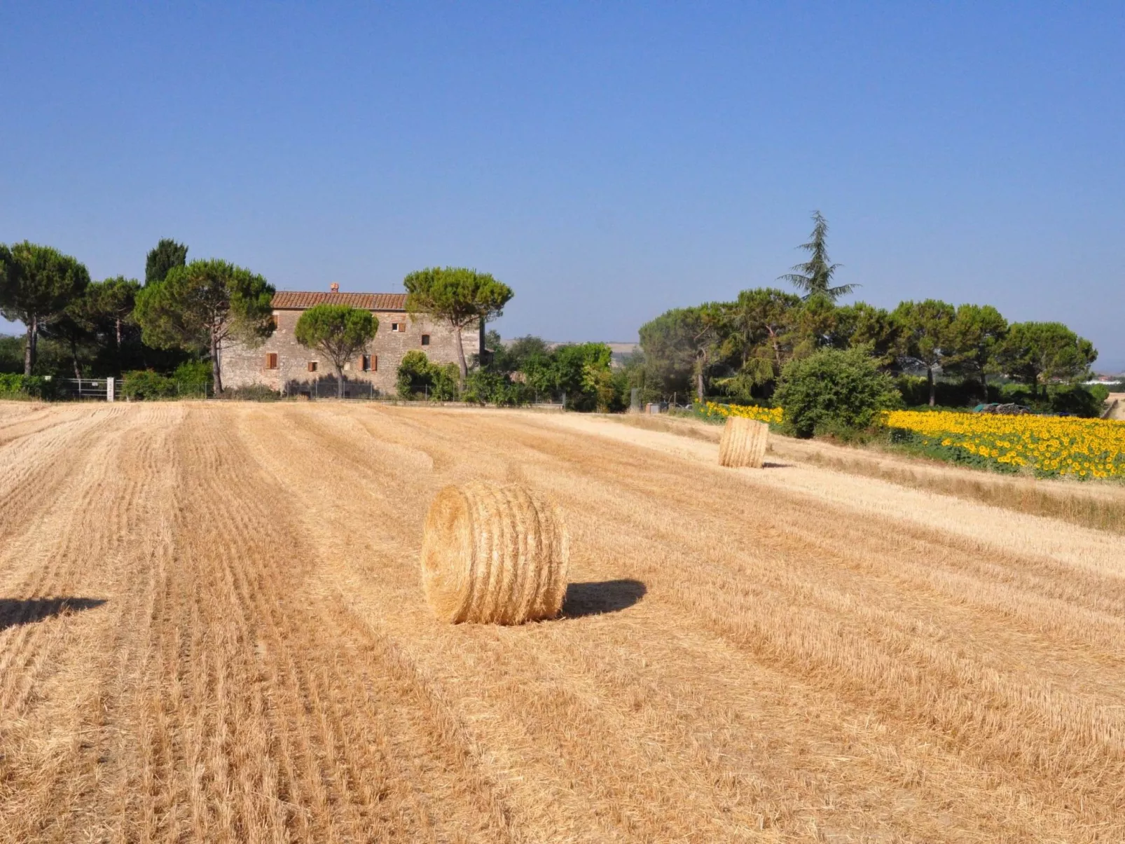 'Molinello pomo' mit Pool-Outside