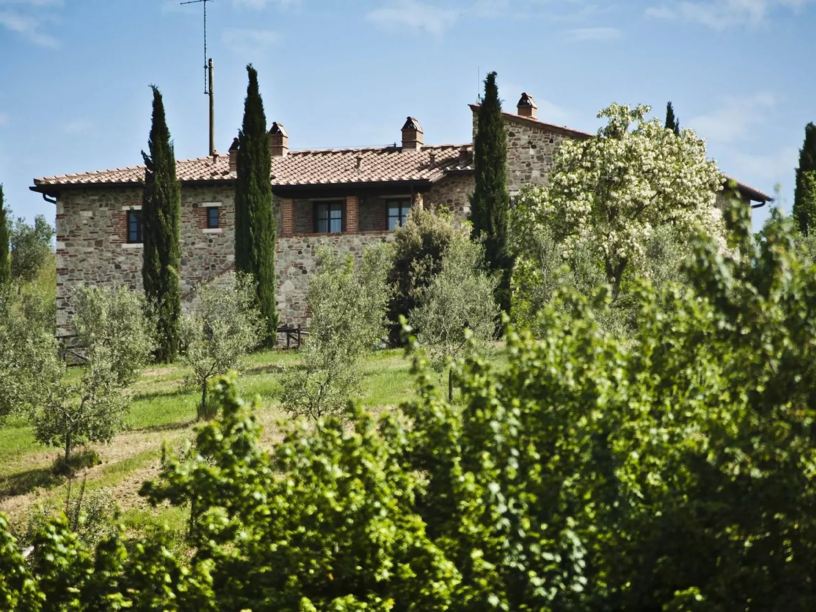 Narciso' Wohnung mit Gemeinschaftspool-Outside