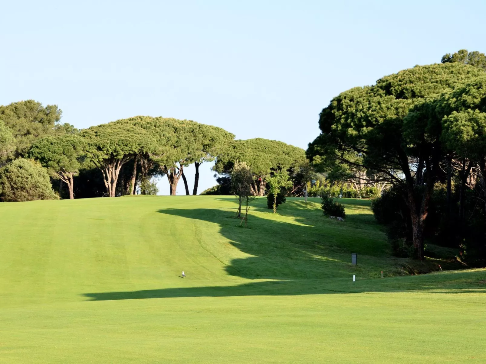 Dolce Vita da Elena-Image-tags.info