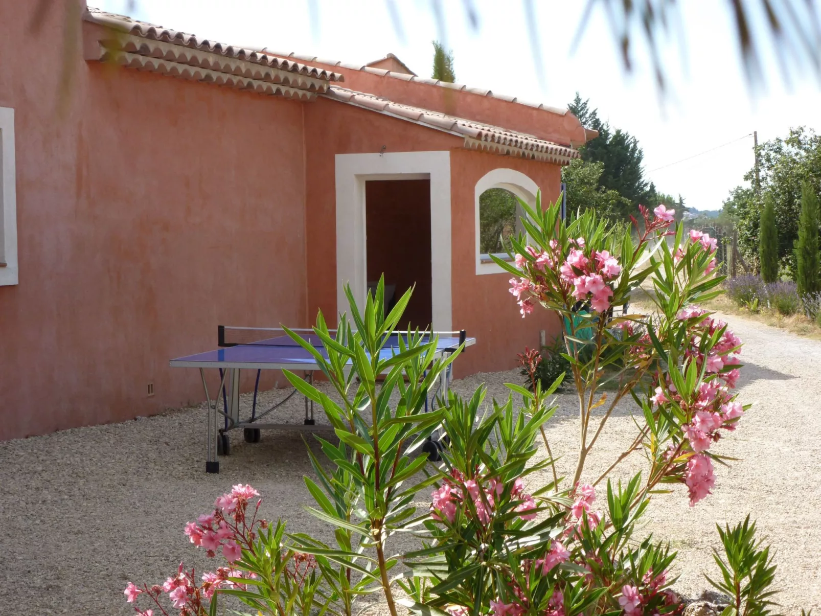 Les amandiers-Dehors