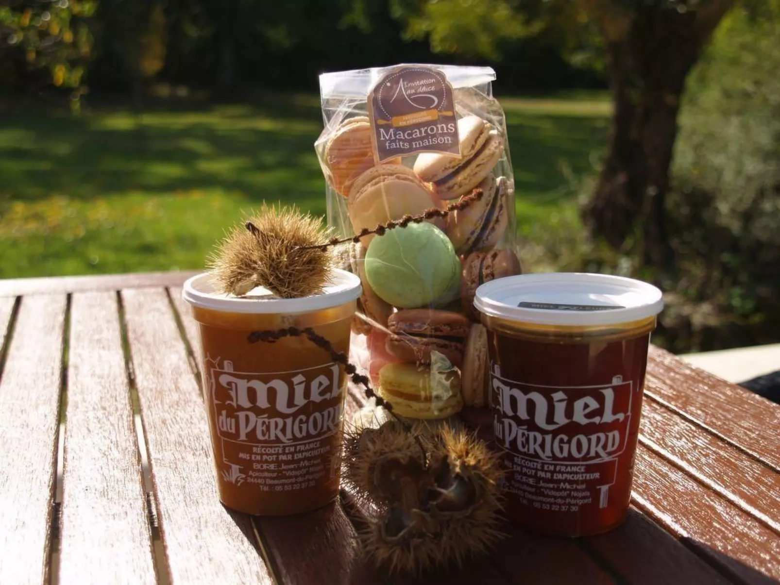 Villa DUXCAAR Beaum.-Draußen