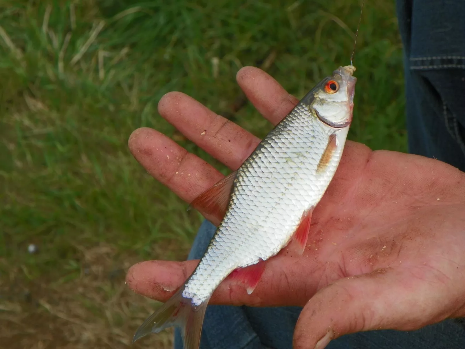 Am Weißenstädter See-Image-tags.info