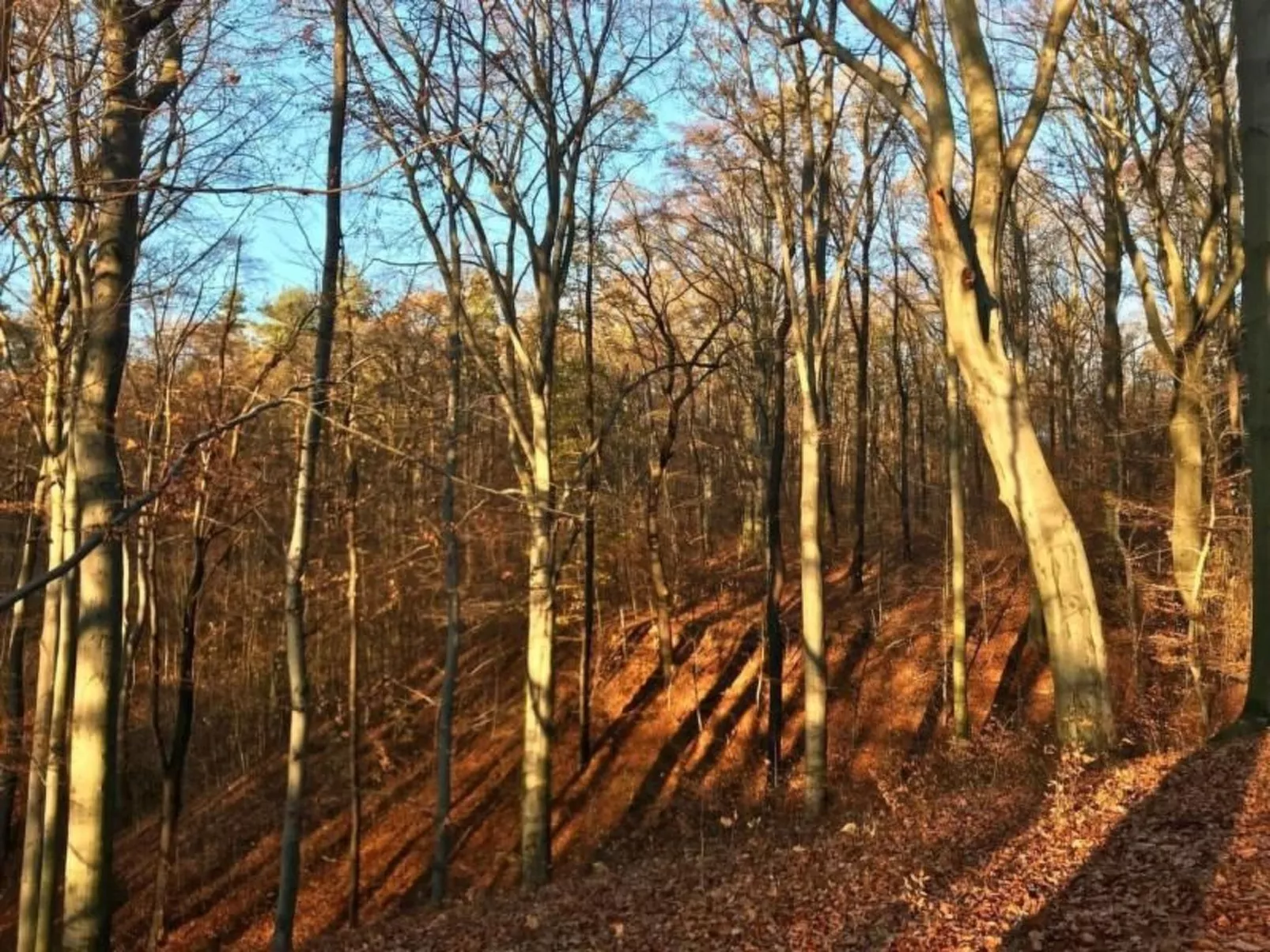 Fewo Natur und Kunst-Dehors