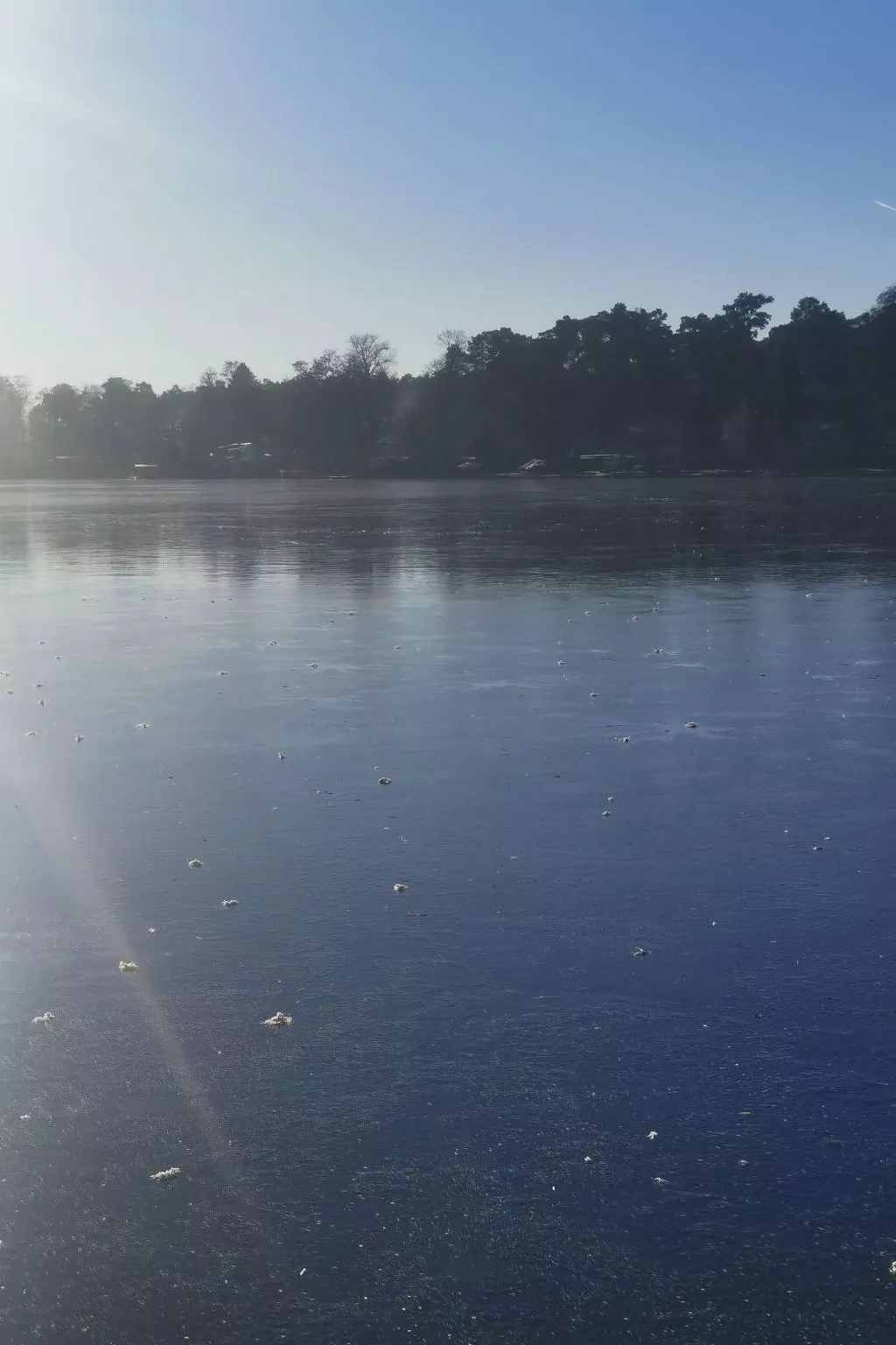 In Müggelheim mit eigener Terrasse-Draußen