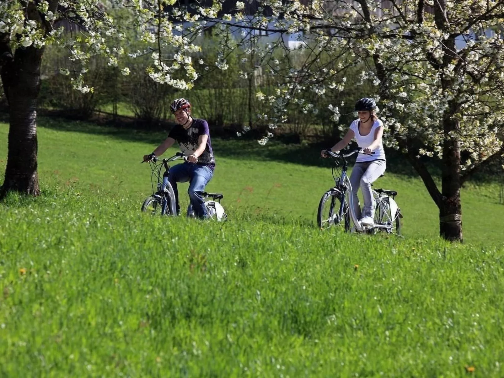 Appartement Gimpl-Dehors