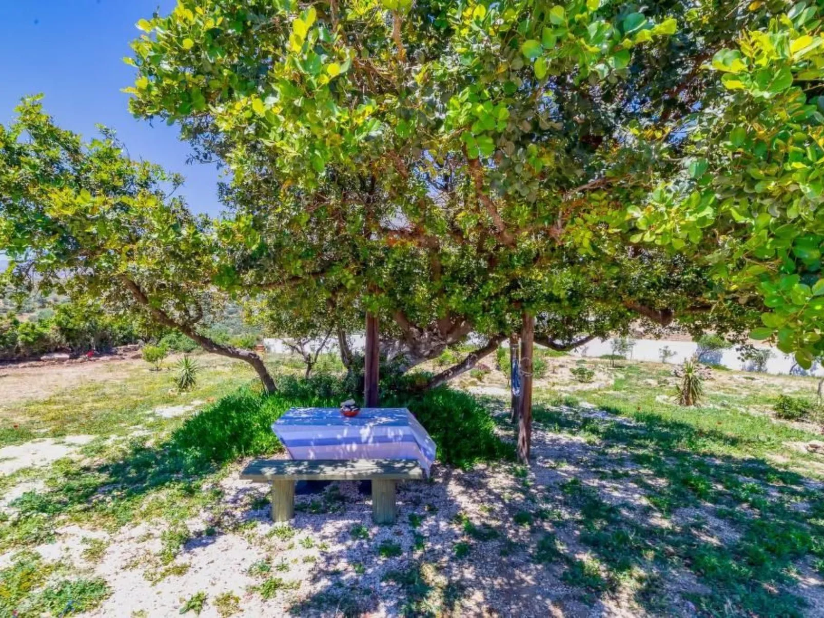 Emanouela Haus mit Garten und Meerblick-Image-tags.info