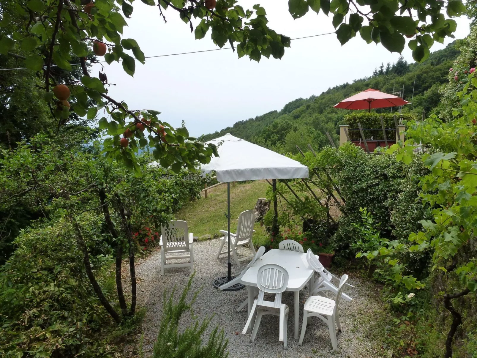 Mit Garten, Grill und Terrasse-Dehors