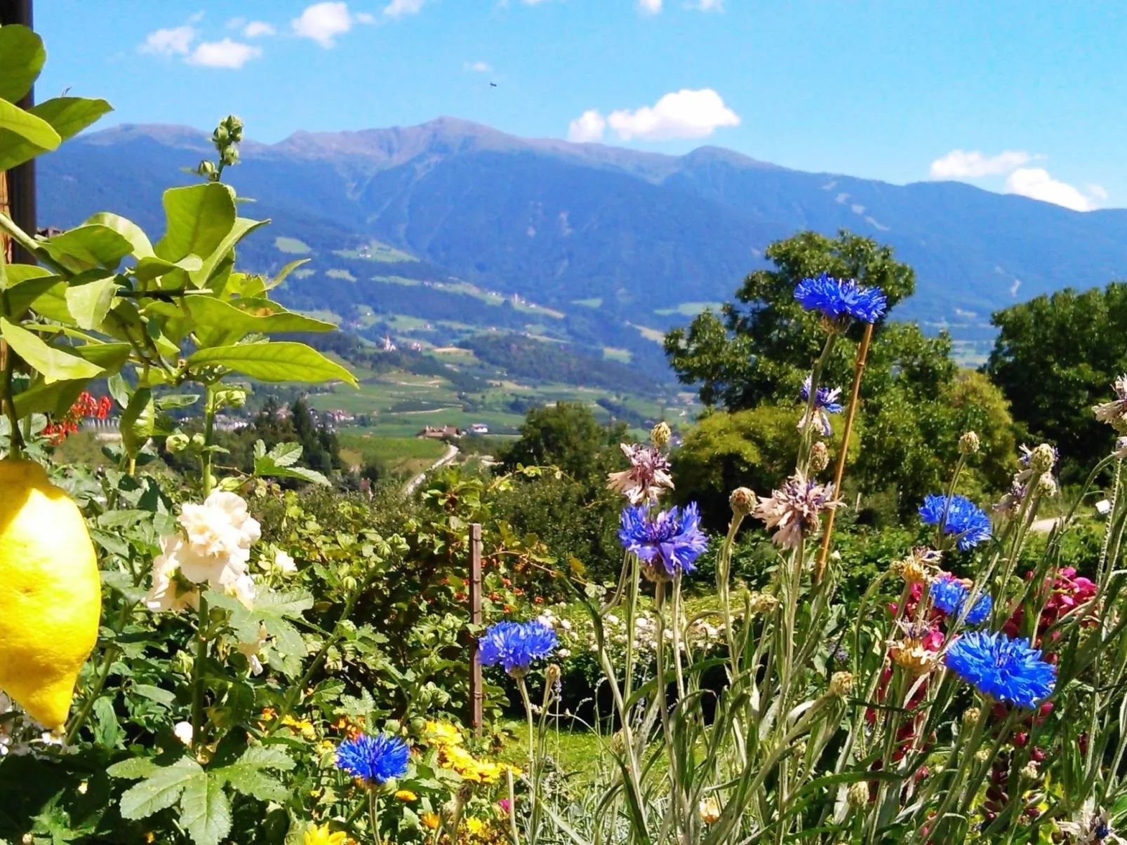 Mit Terrasse auf einem Bauernhof-Image-tags.info