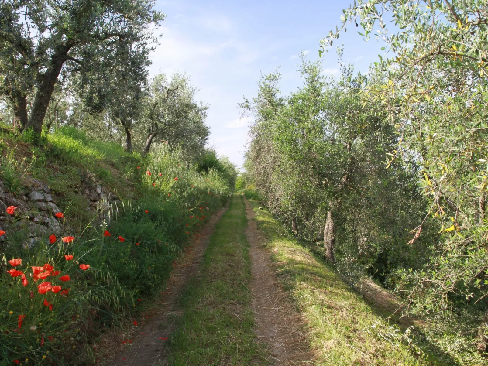 Wohnung 'Giulia 6' mit Pool-Outside