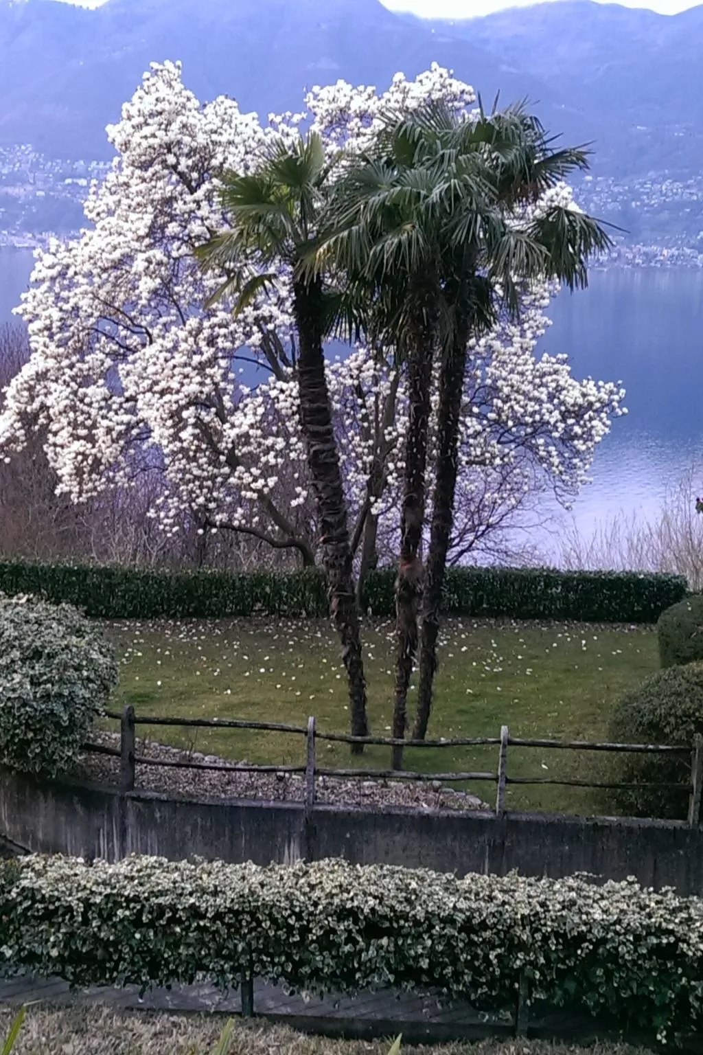 Residenza Viramonte - Casa Fiona, Wohnung 52 - Draußen