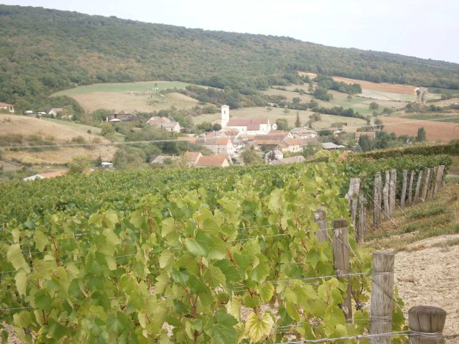 An der Weinstraße von Burgund-Draußen