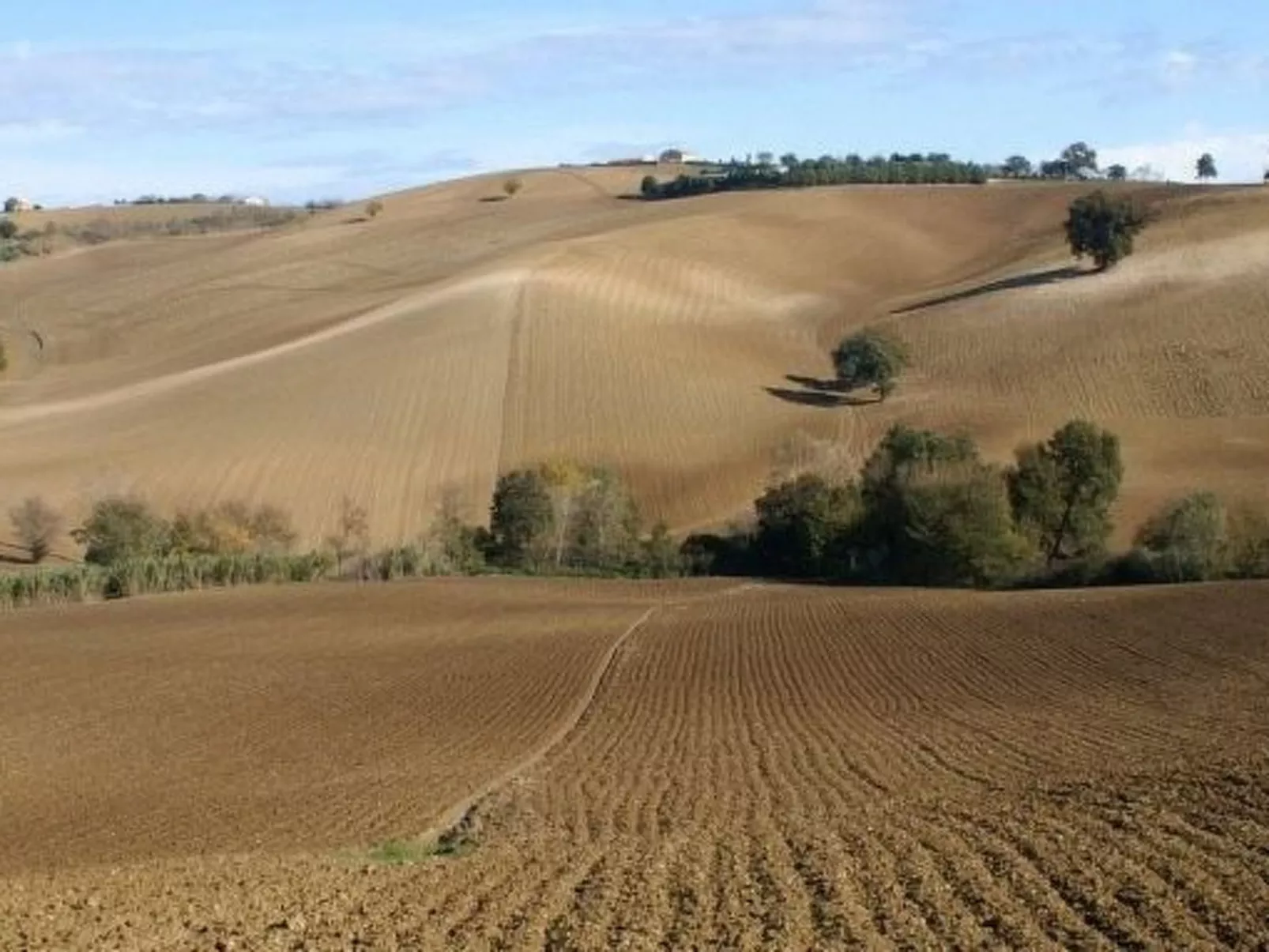 'Casa il Girasole'-Outside