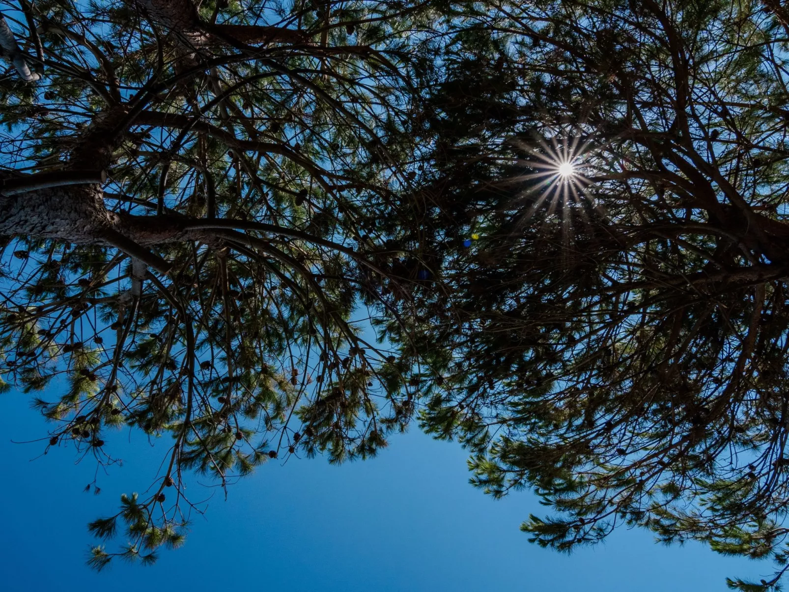 Villa a 150m dal mare, wifi e Kochkurs kostenlos - Outside