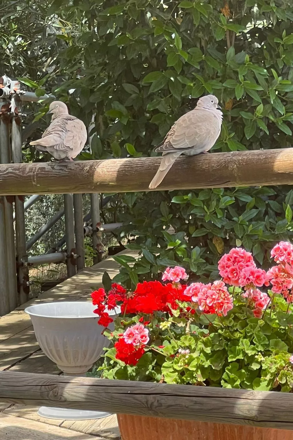Bauernhauswohnung mit großer Terrasse-Draußen
