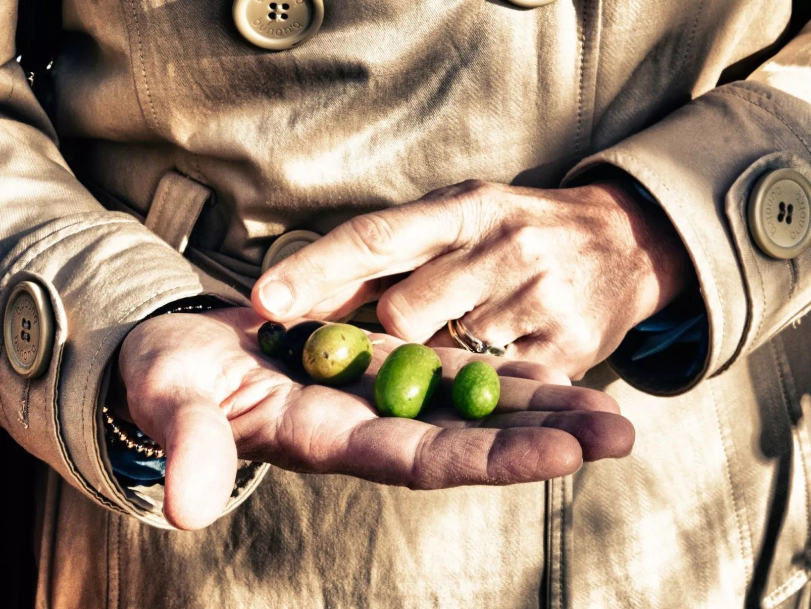 Il Melograno Panoramahaus-Dedans