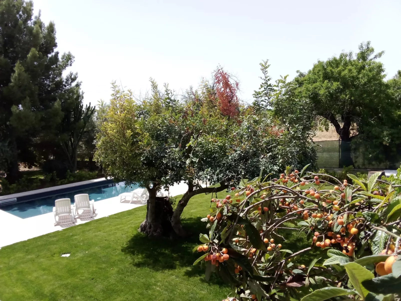 Zacchitella Gardenhouse-Image-tags.info