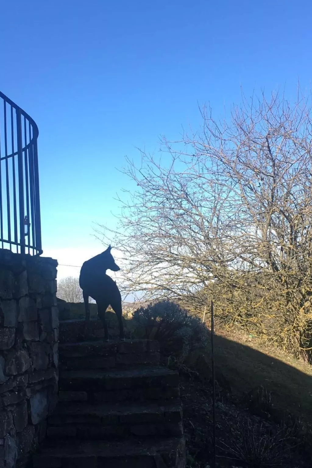 Piccola casa romantica-Draußen