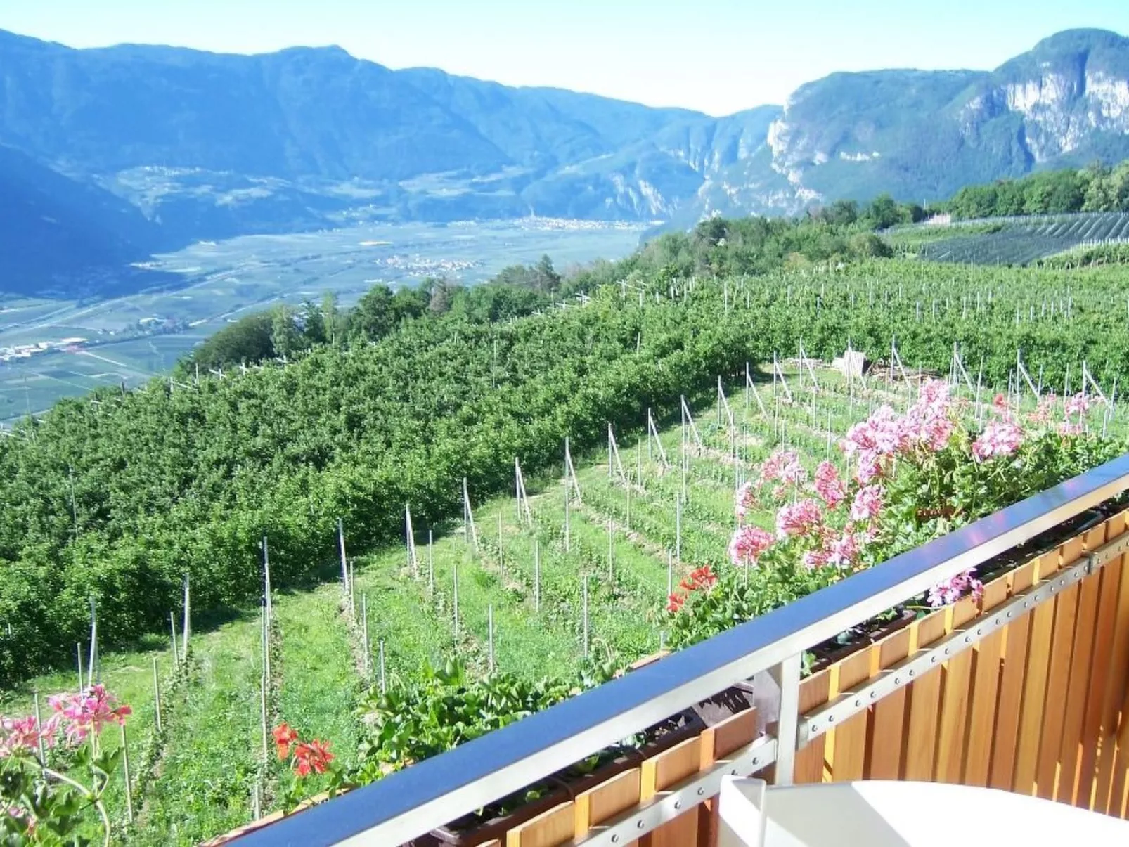 Kerschbamerhof Fewo Pink Lady mit Panoramablick-Draußen