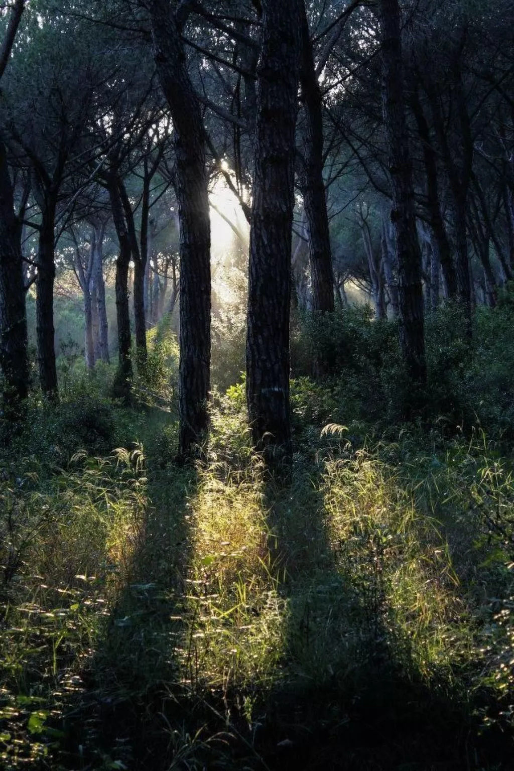 Mareblù' Wohnung mit Jacuzzi-Image-tags.info