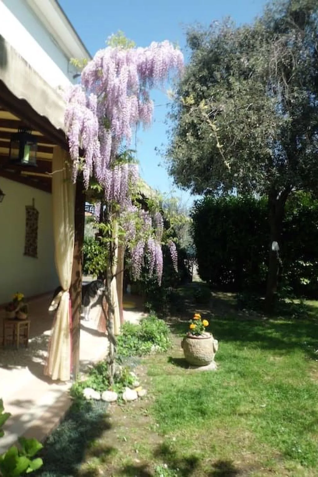 Wohnung mit Privatparkplatz-Dehors