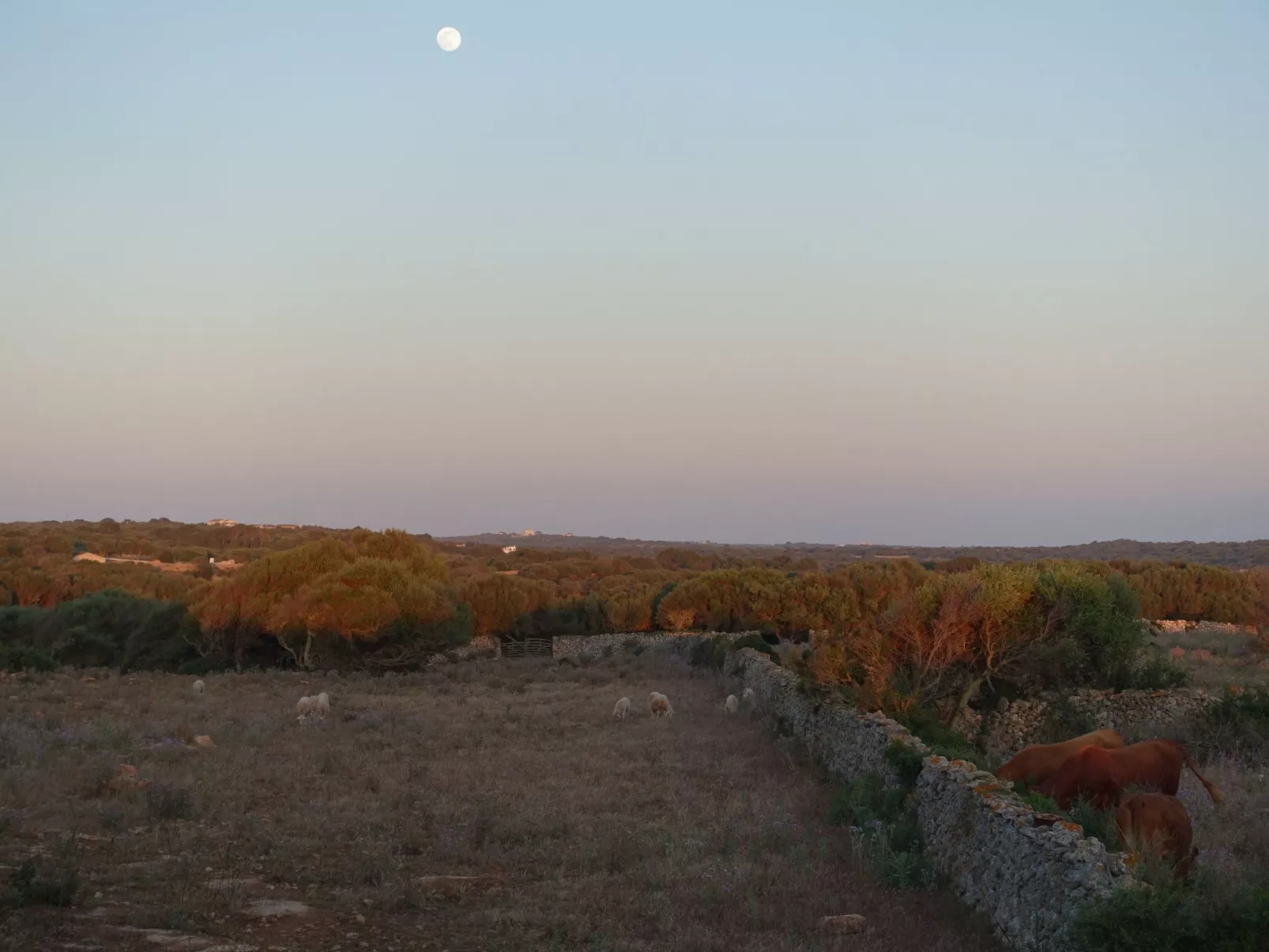 Casita Menorca Privé-Outside