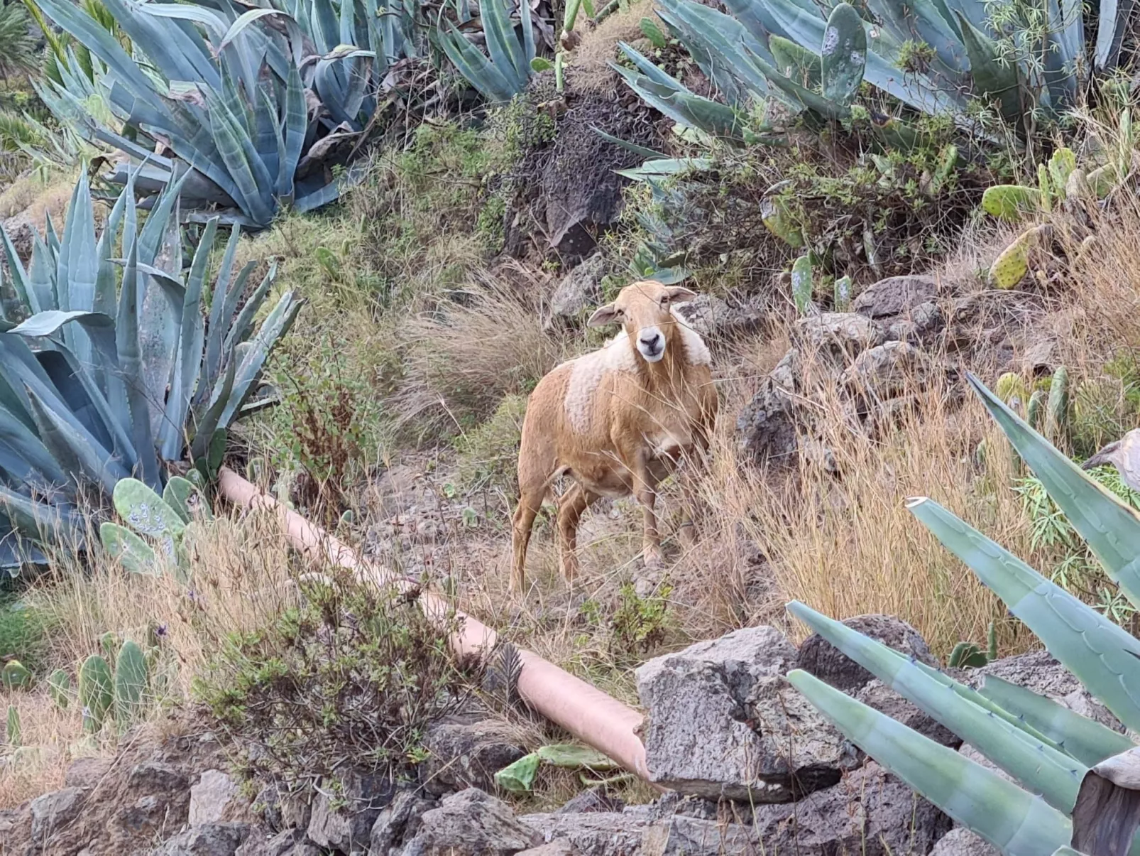 Casa Alicia Apart 1-Outside