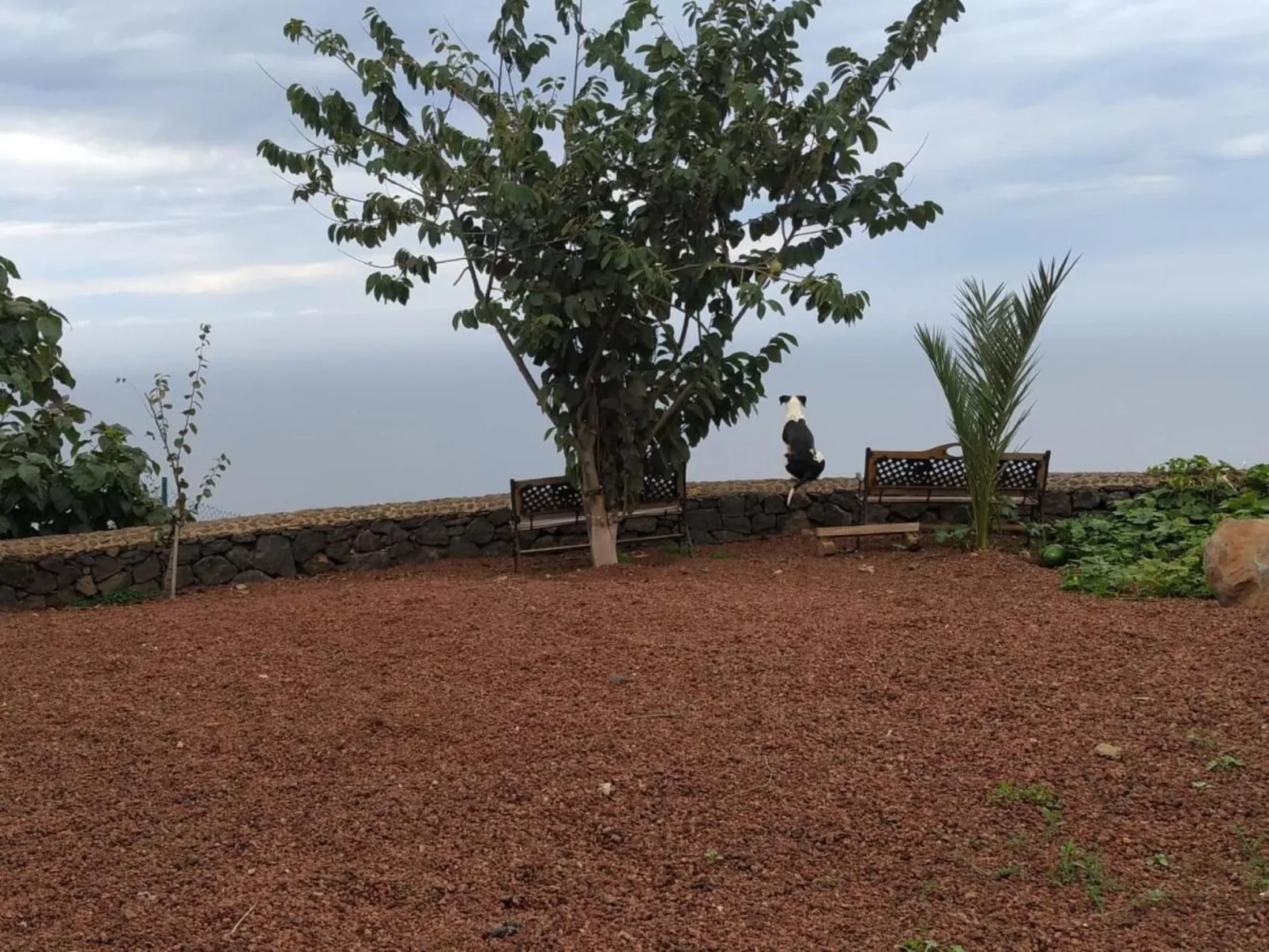 Finca "Sunny Scape Rural-Draußen